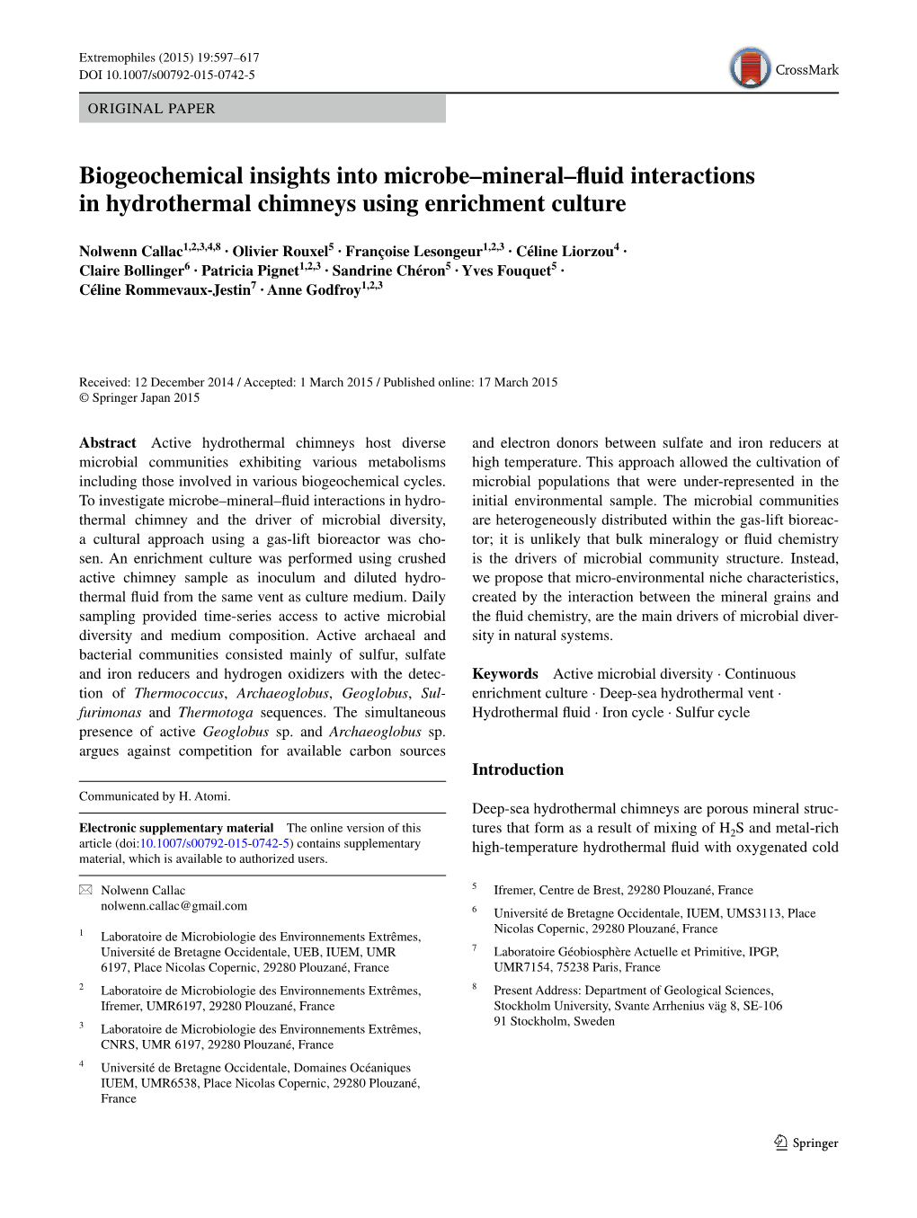 Biogeochemical Insights Into Microbe–Mineral–Fluid Interactions in Hydrothermal Chimneys Using Enrichment Culture