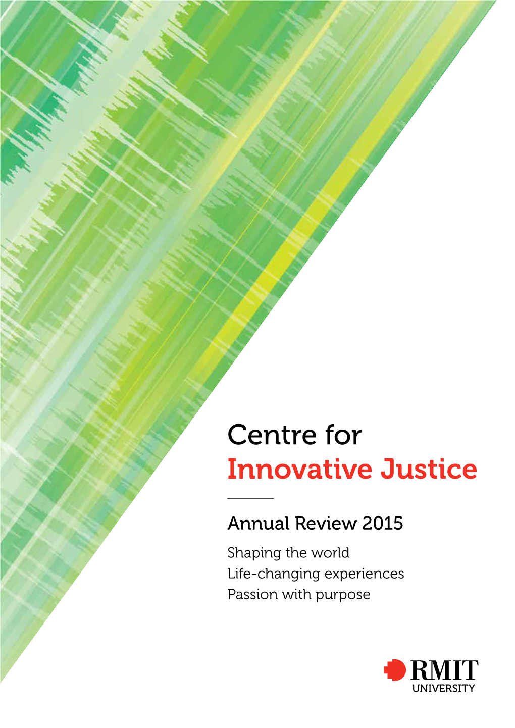 2015 Annual Review