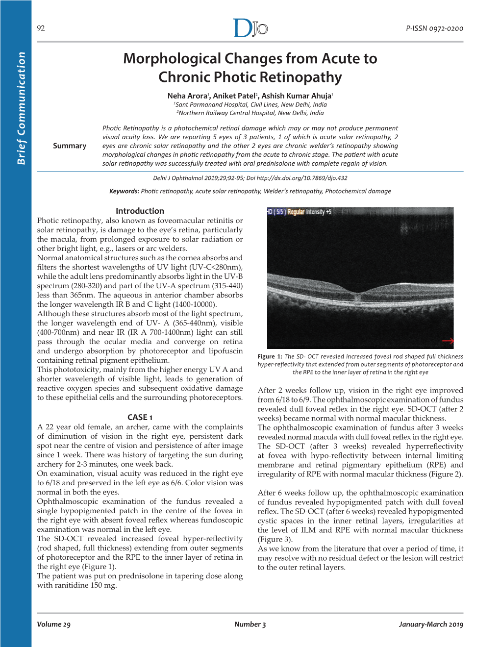 Morphological Changes from Acute to Chronic Photic Retinopathy