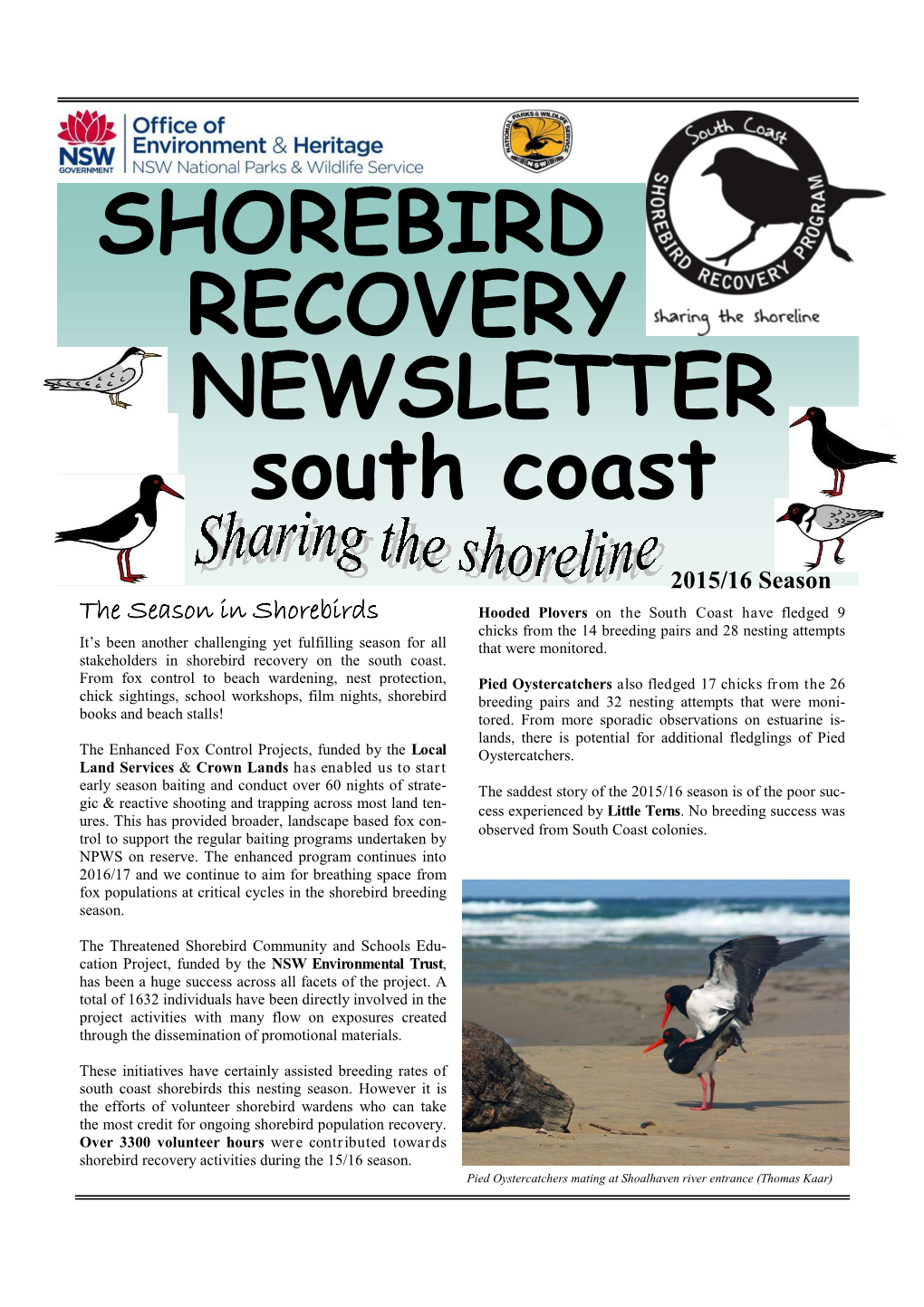 SHOREBIRD RECOVERY NEWSLETTER South Coast