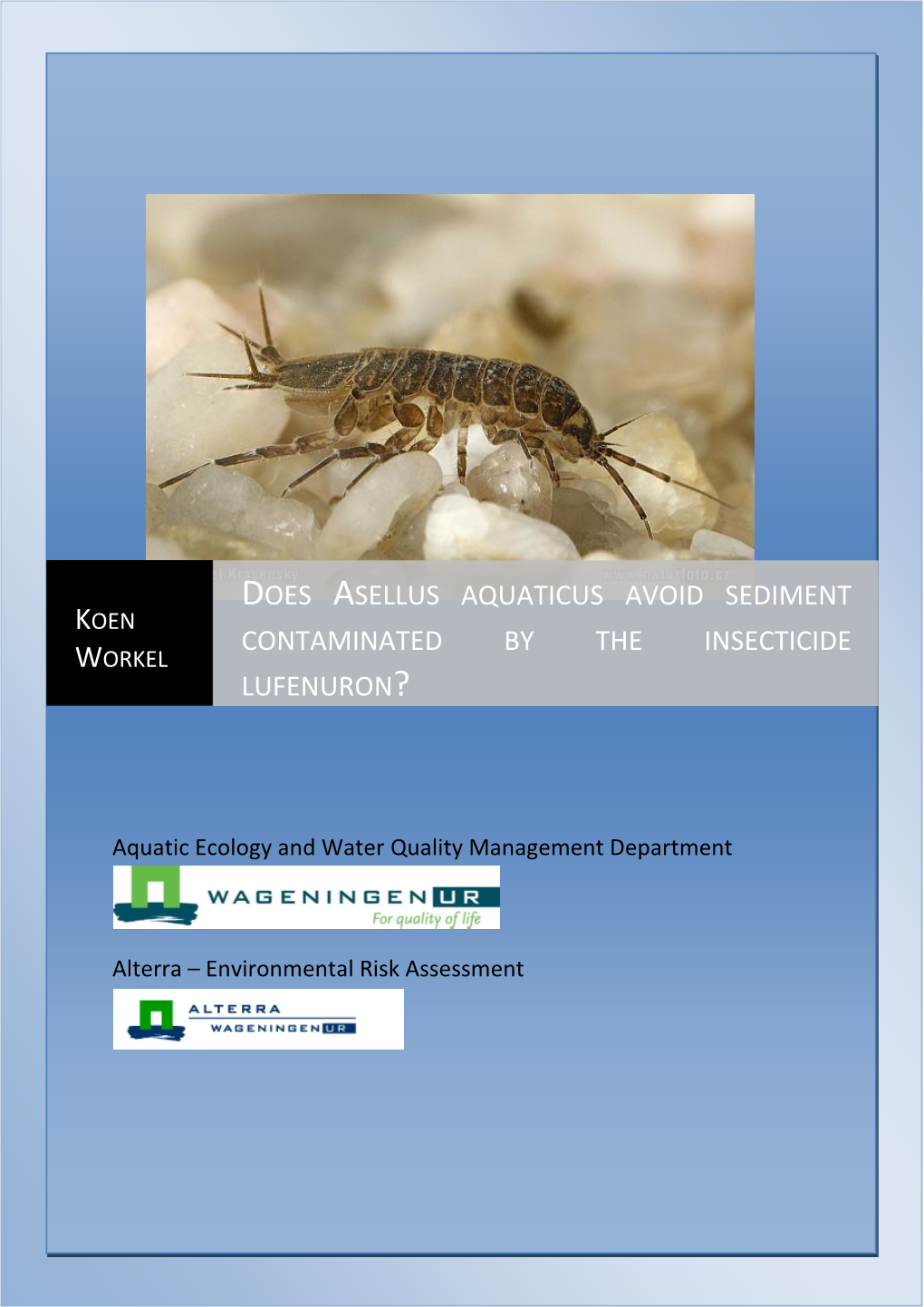 Does Asellus Aquaticus Avoid Sediment Contaminated by the Insecticide Lufenuron?