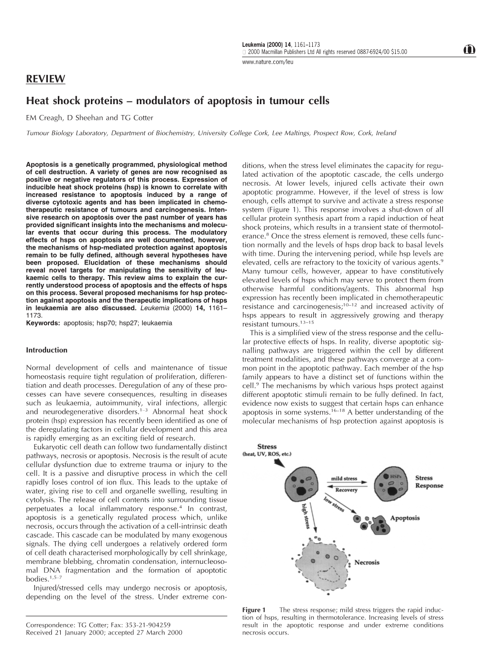 REVIEW Heat Shock Proteins – Modulators of Apoptosis in Tumour