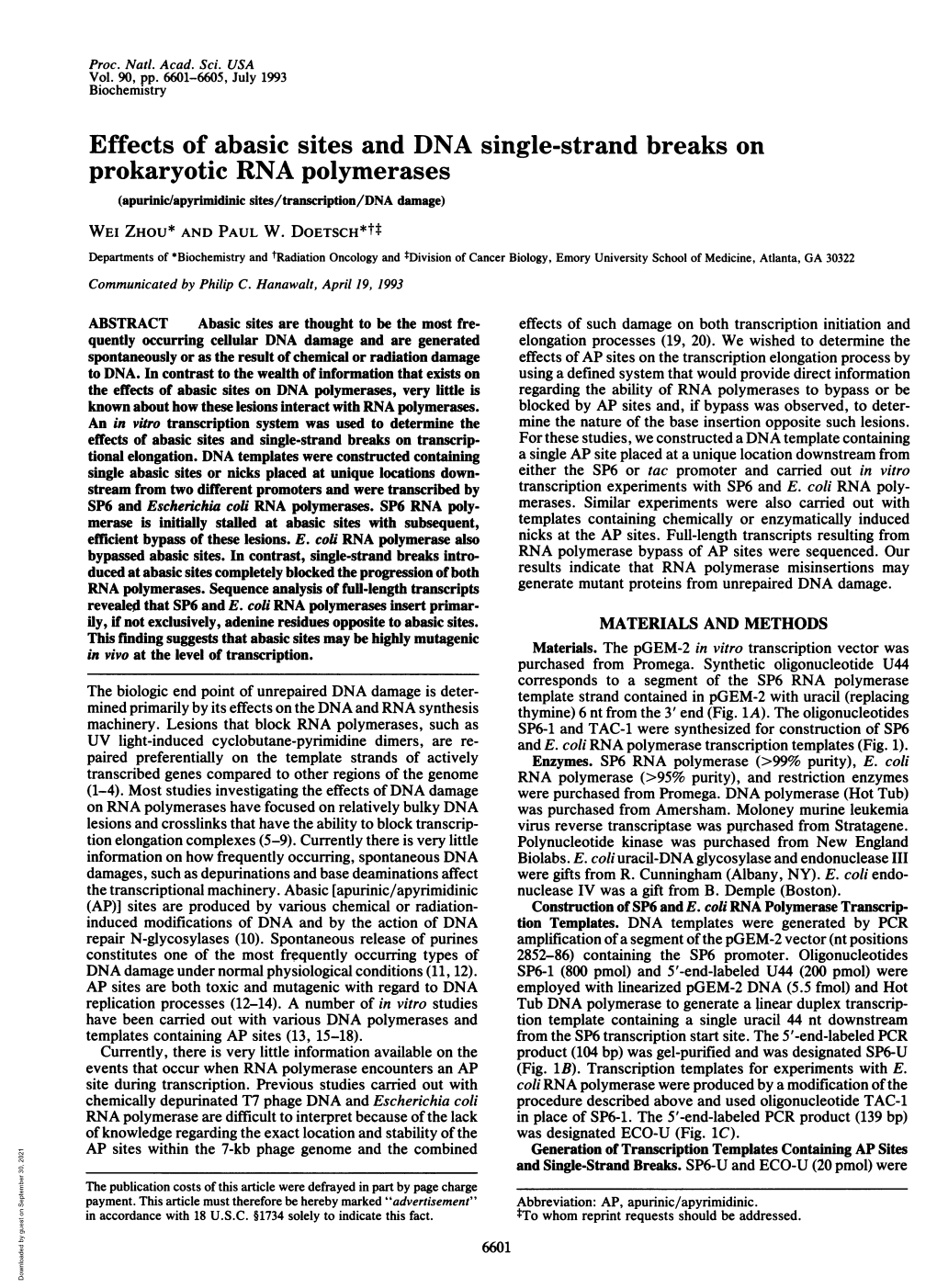 Effects of Abasic Sites and DNA Single-Strand Breaks on Prokaryotic RNA Polymerases (Apurinic/Apyrimidinic Sites/Transcription/DNA Damage) WEI ZHOU* and PAUL W