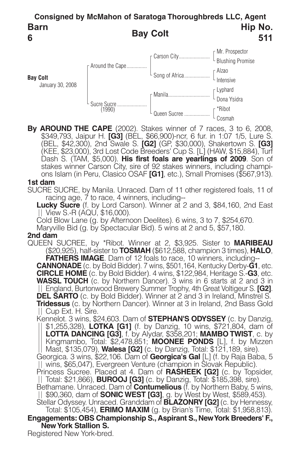 Bay Colt Barn 6 Hip No