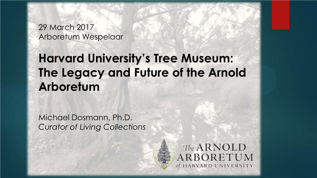 Harvard University's Tree Museum: the Legacy and Future of The