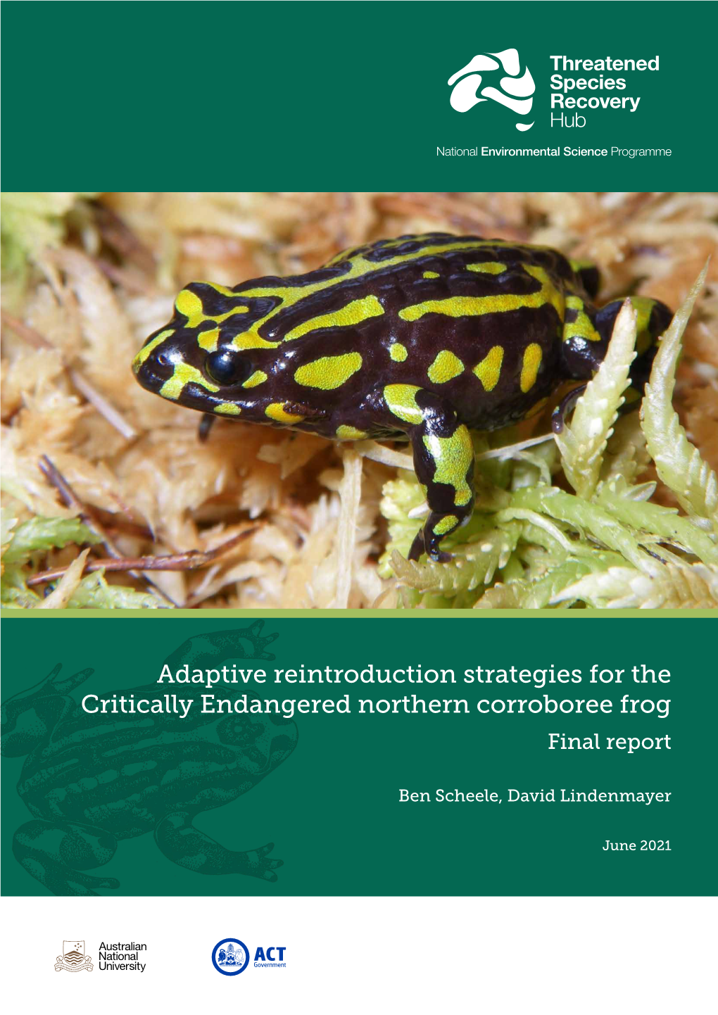 Adaptive Reintroduction Strategies for the Critically Endangered Northern Corroboree Frog Final Report