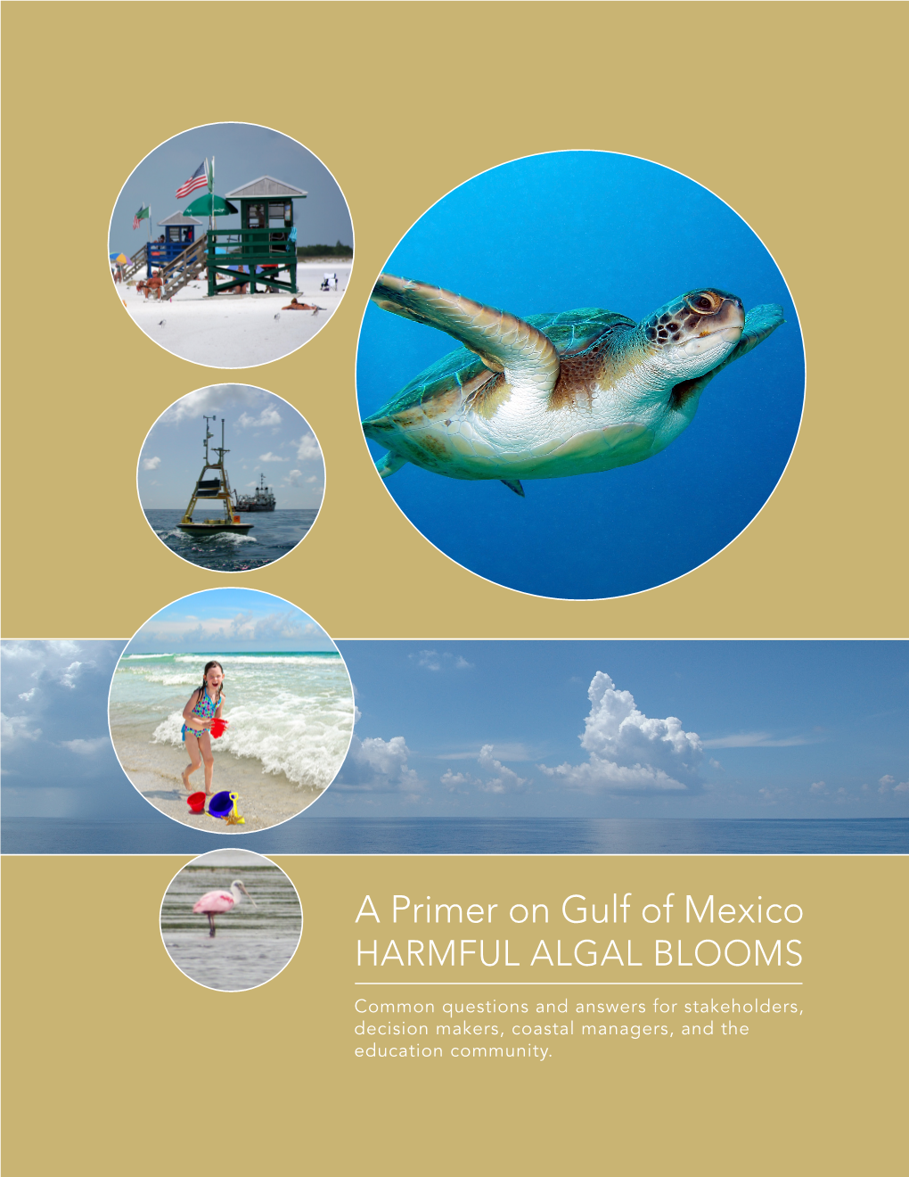 Gulf of Mexico HAB Primer