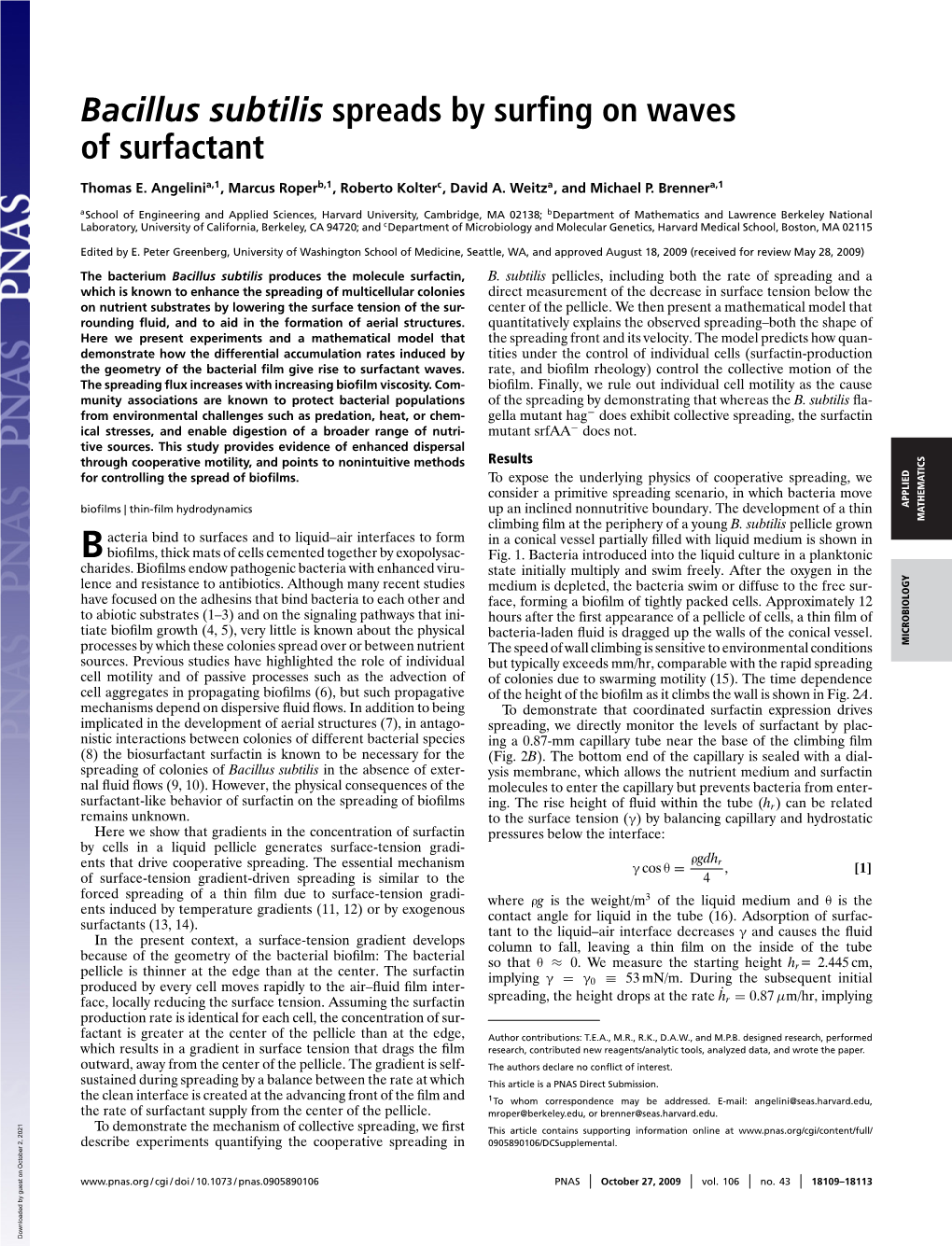 Bacillus Subtilis Spreads by Surfing on Waves of Surfactant