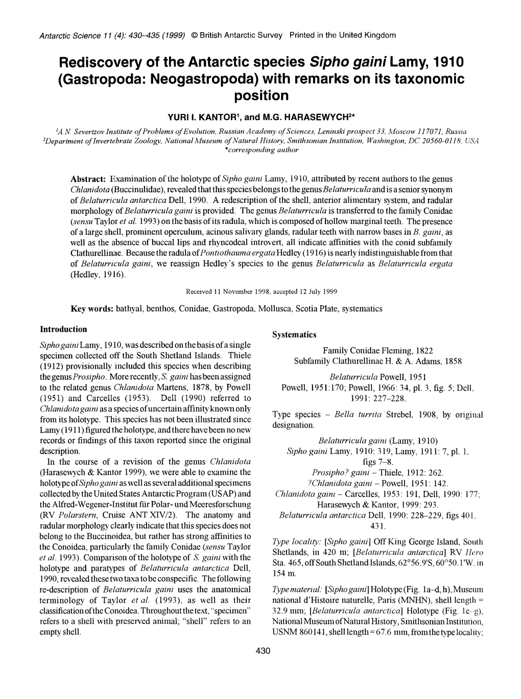 Rediscovery of the Antarctic Species Sipho Gaini Lamy, 1910 (Gastropoda: Neogastropoda) with Remarks on Its Taxonomic Position