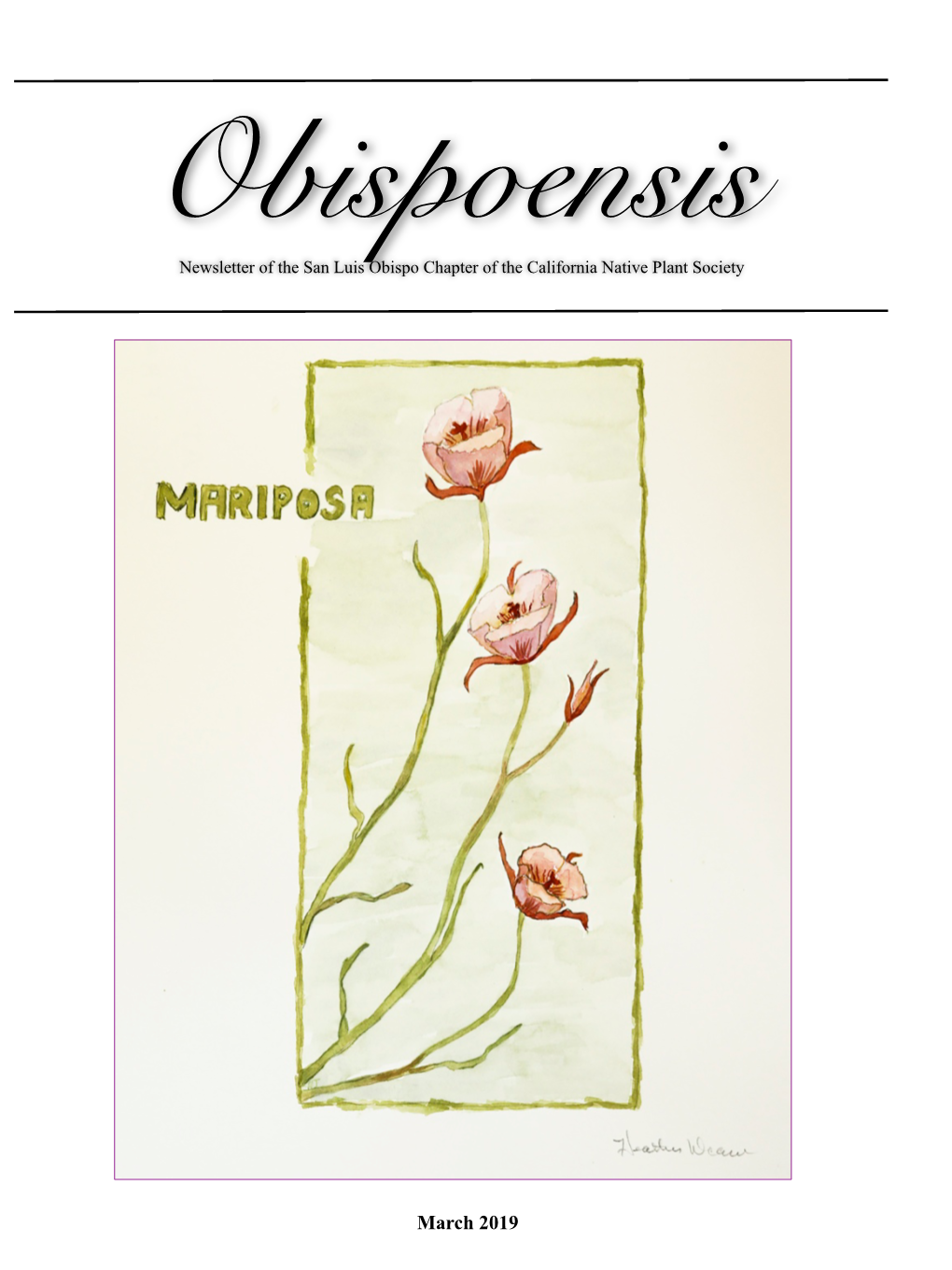 March 2019 (Cover) Calochortus (Mariposa Lily, Fairy Lantern and Star-Tulip)