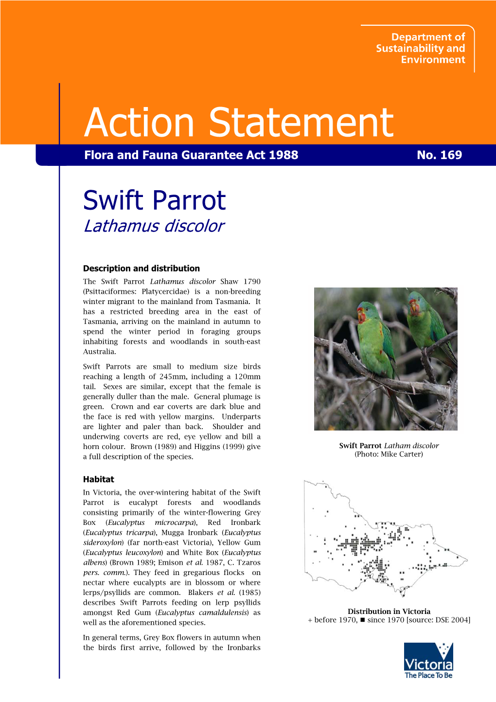 Swift Parrot (Lathamus Discolor)