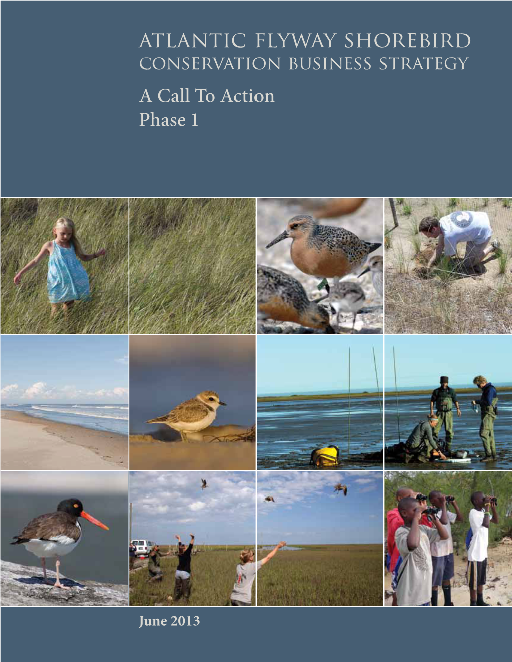 Atlantic Flyway Shorebird Conservation Business Strategy a Call to Action Phase 1