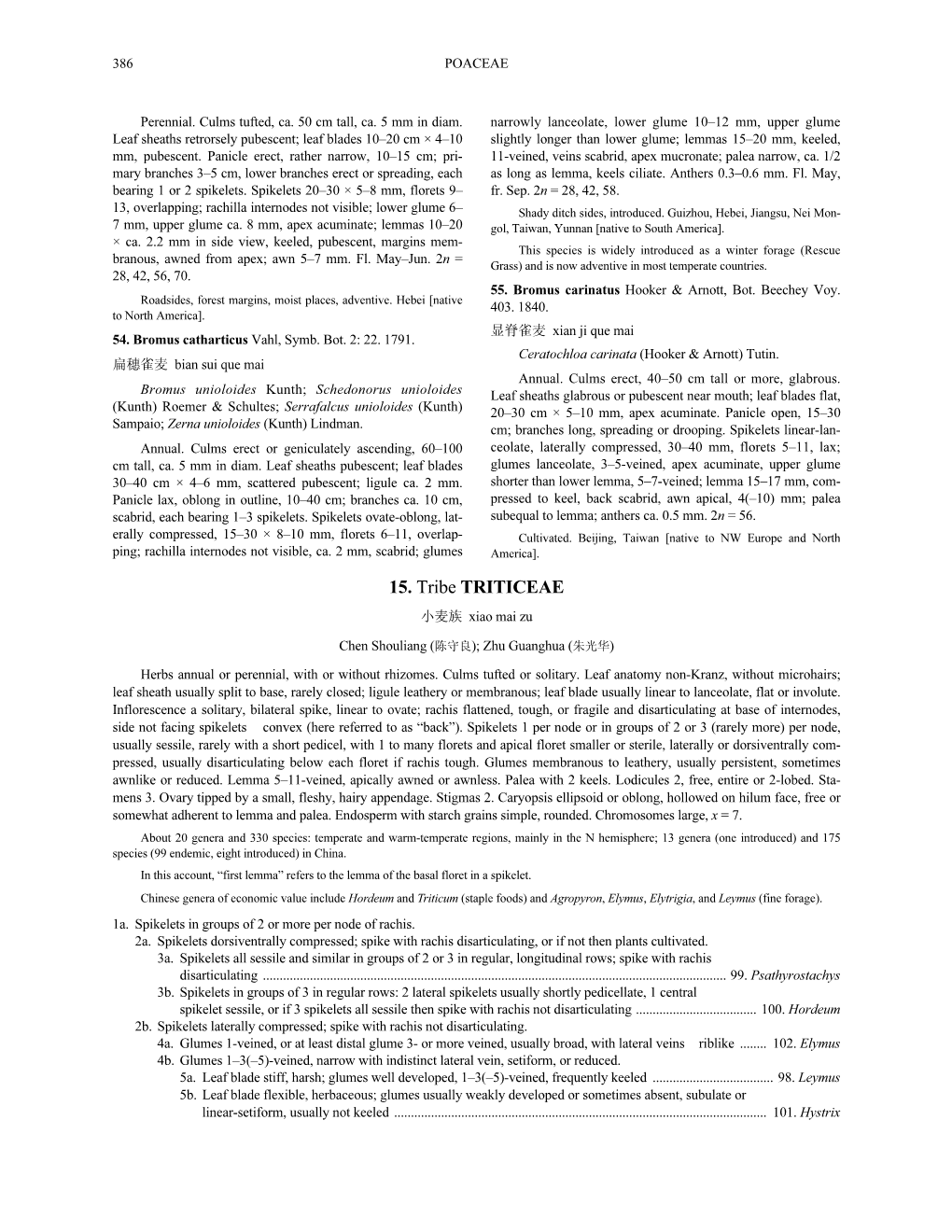 15. Tribe TRITICEAE 小麦族 Xiao Mai Zu