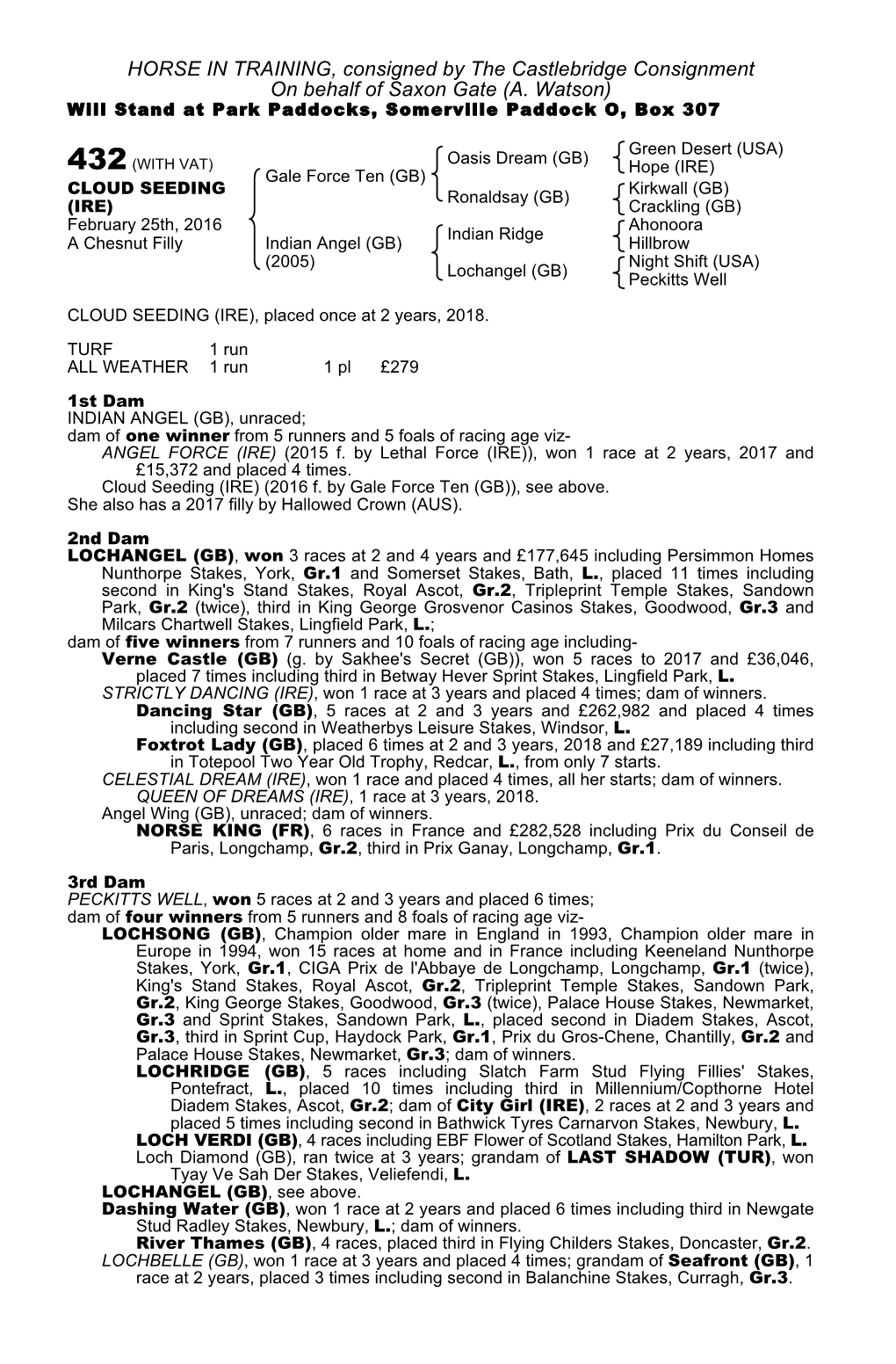 HORSE in TRAINING, Consigned by the Castlebridge Consignment on Behalf of Saxon Gate (A