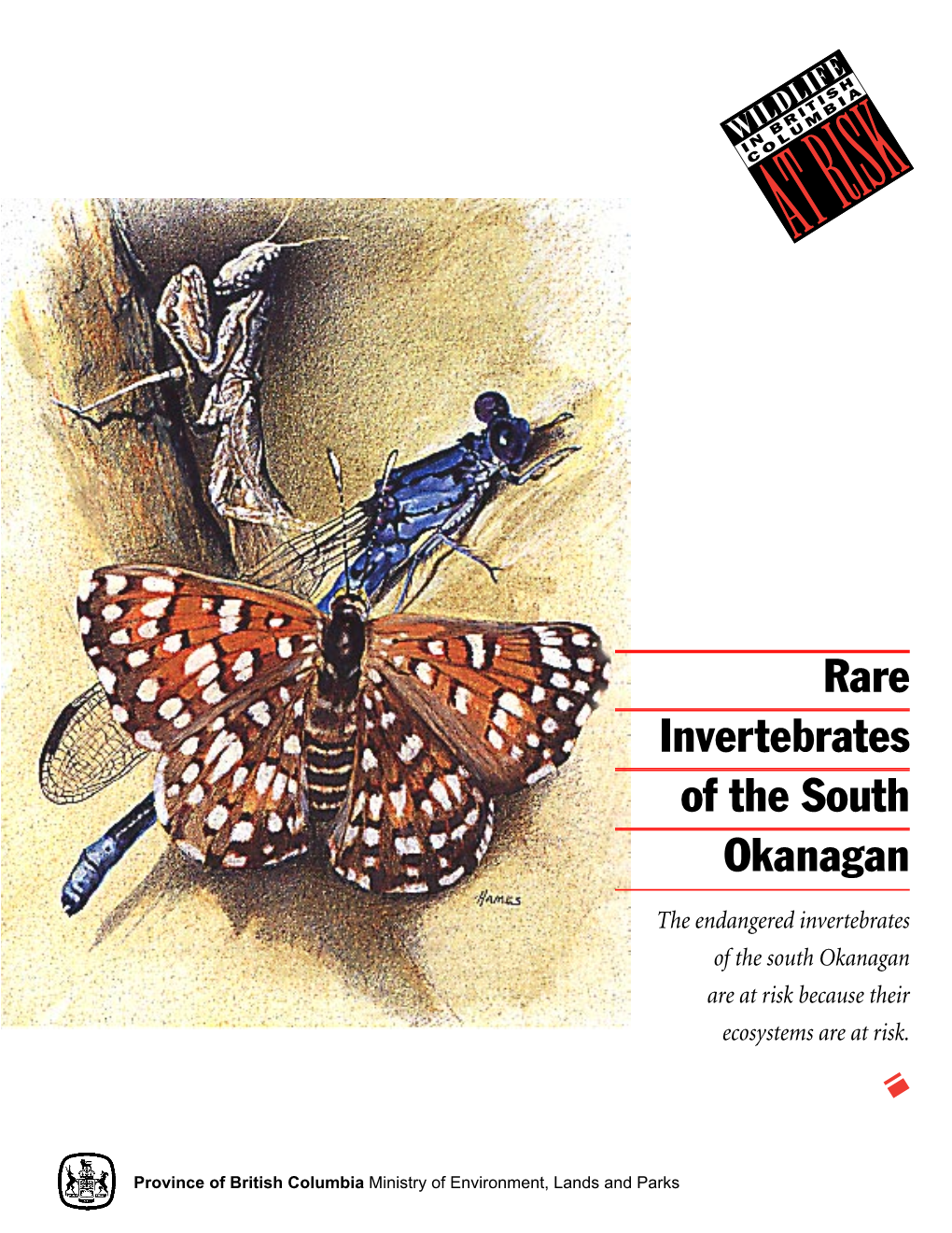 Rare Invertebrates of the South Okanagan