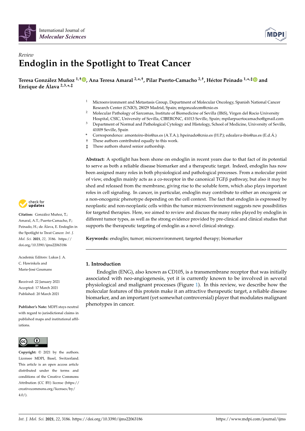 Endoglin in the Spotlight to Treat Cancer