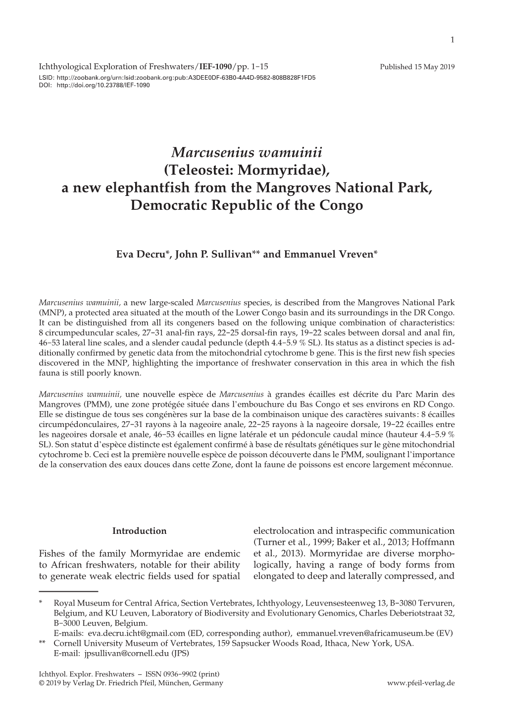 Marcusenius Wamuinii (Teleostei: Mormyridae), a New Elephantfish from the Mangroves National Park, Democratic Republic of the Congo