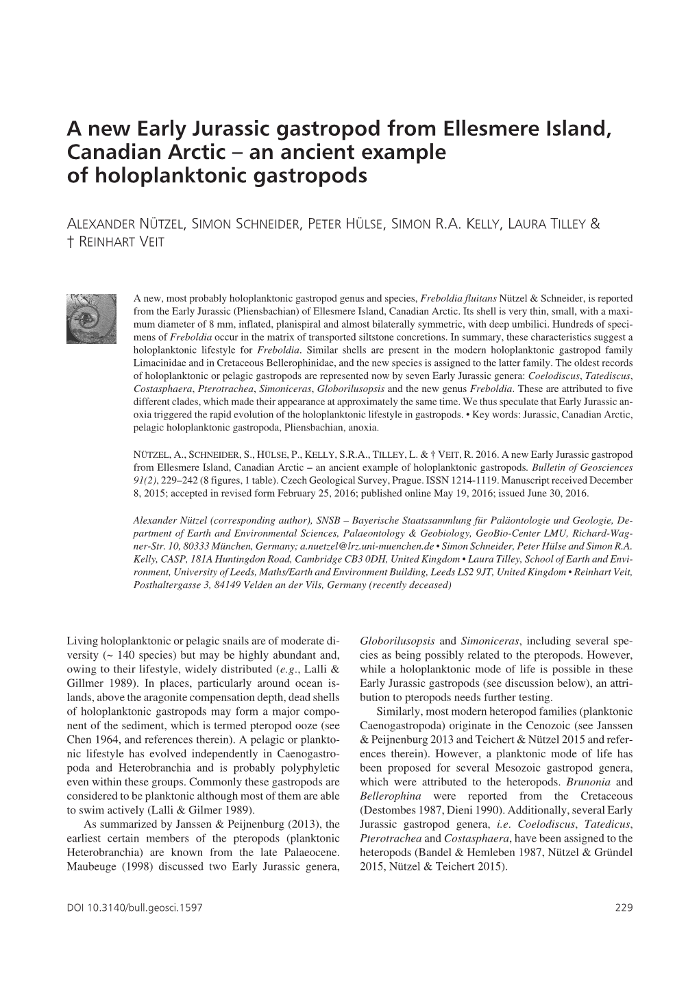 A New Early Jurassic Gastropod from Ellesmere Island, Canadian Arctic – an Ancient Example of Holoplanktonic Gastropods