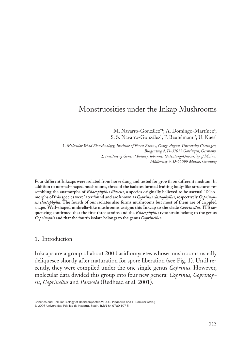 Monstruosities Under the Inkap Mushrooms