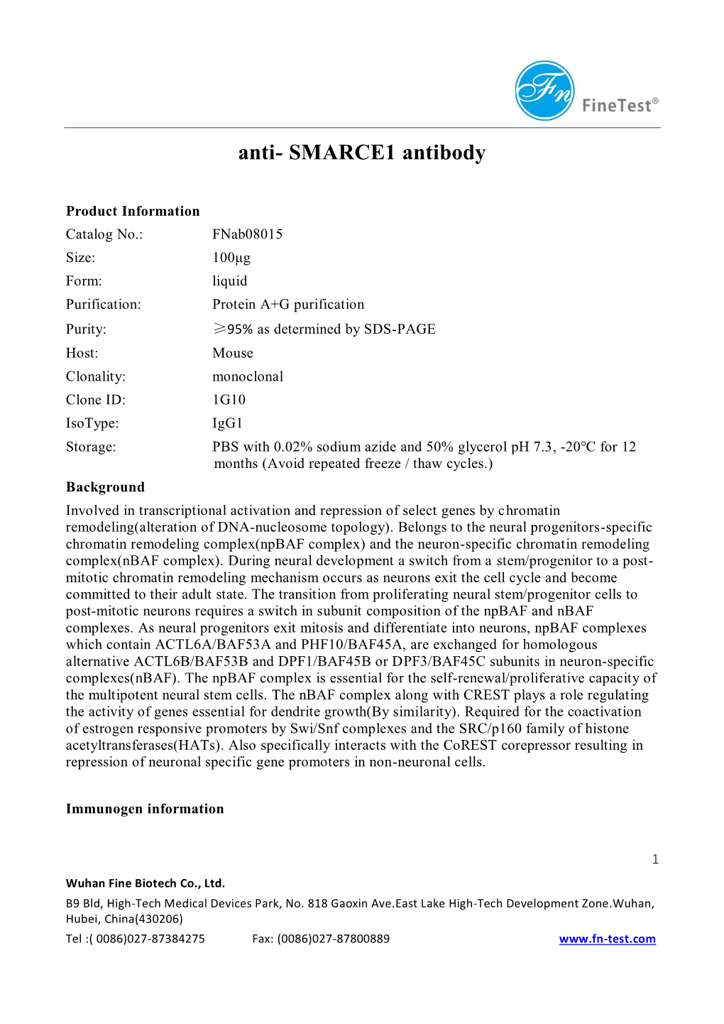 Anti- SMARCE1 Antibody