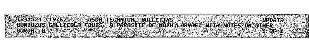 Goniozus Gallicola Fouts, a Parasite of Moth Larvae, with Notes on Other Bethylids (Hymenoptera: Bethylidae; Lepidoptera: Gelechiidae)