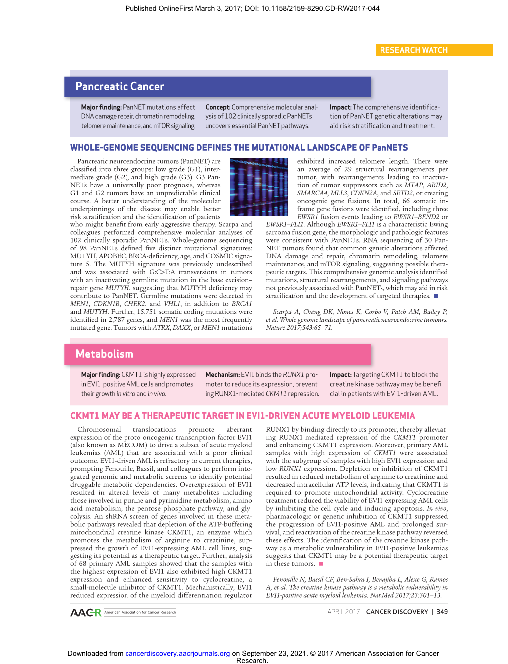 Pancreatic Cancer Metabolism