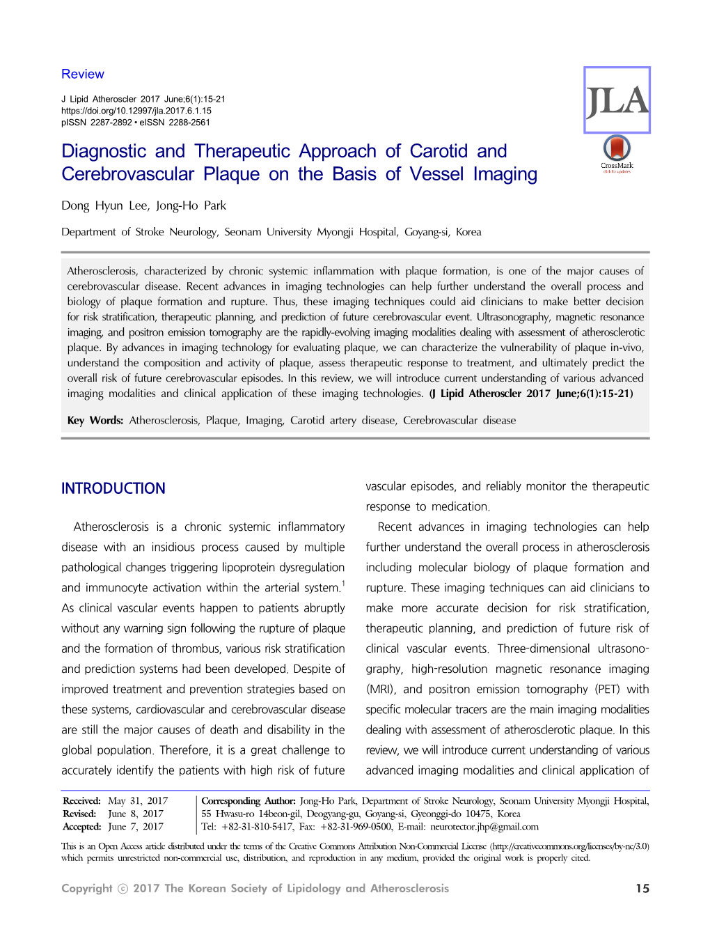 Diagnostic and Therapeutic Approach of Carotid and Cerebrovascular Plaque on the Basis of Vessel Imaging