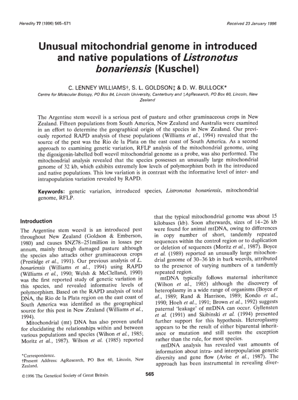 Unusual Mitochondrial Genome in Introduced and Native Populations of Listronotus Bonariensis (Kuschel)