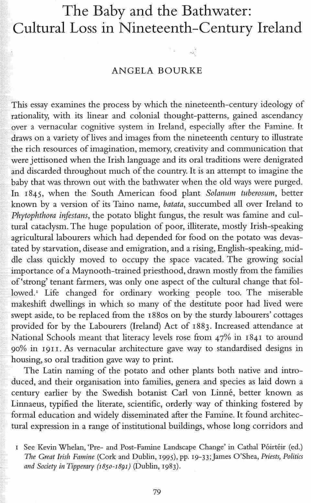 The Baby and the Bathwater: Cultural Loss in Nineteenth-Century Ireland