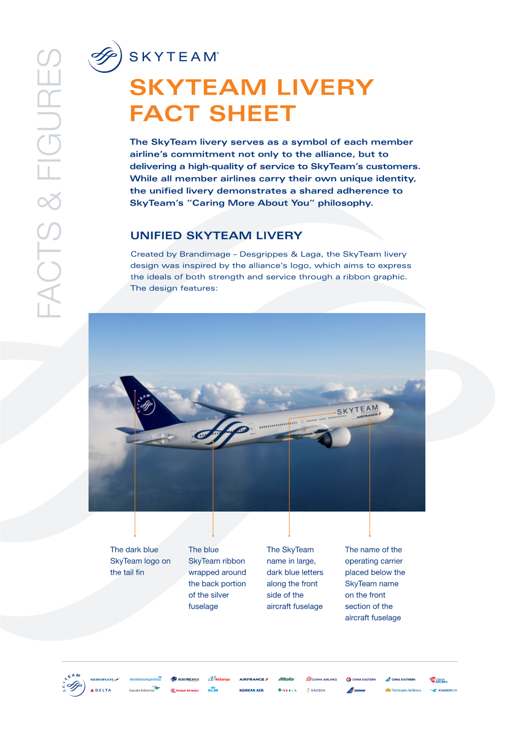 Skyteam Livery Fact Sheet