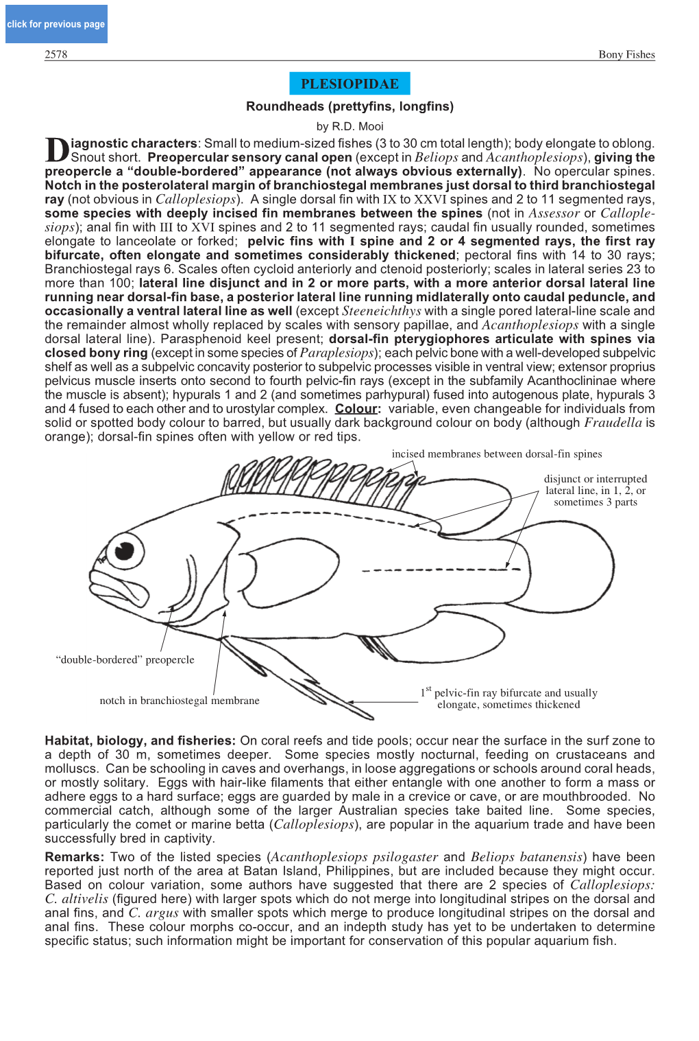 PLESIOPIDAE Remarks: Two of the Listed Species (Acanthoplesiops