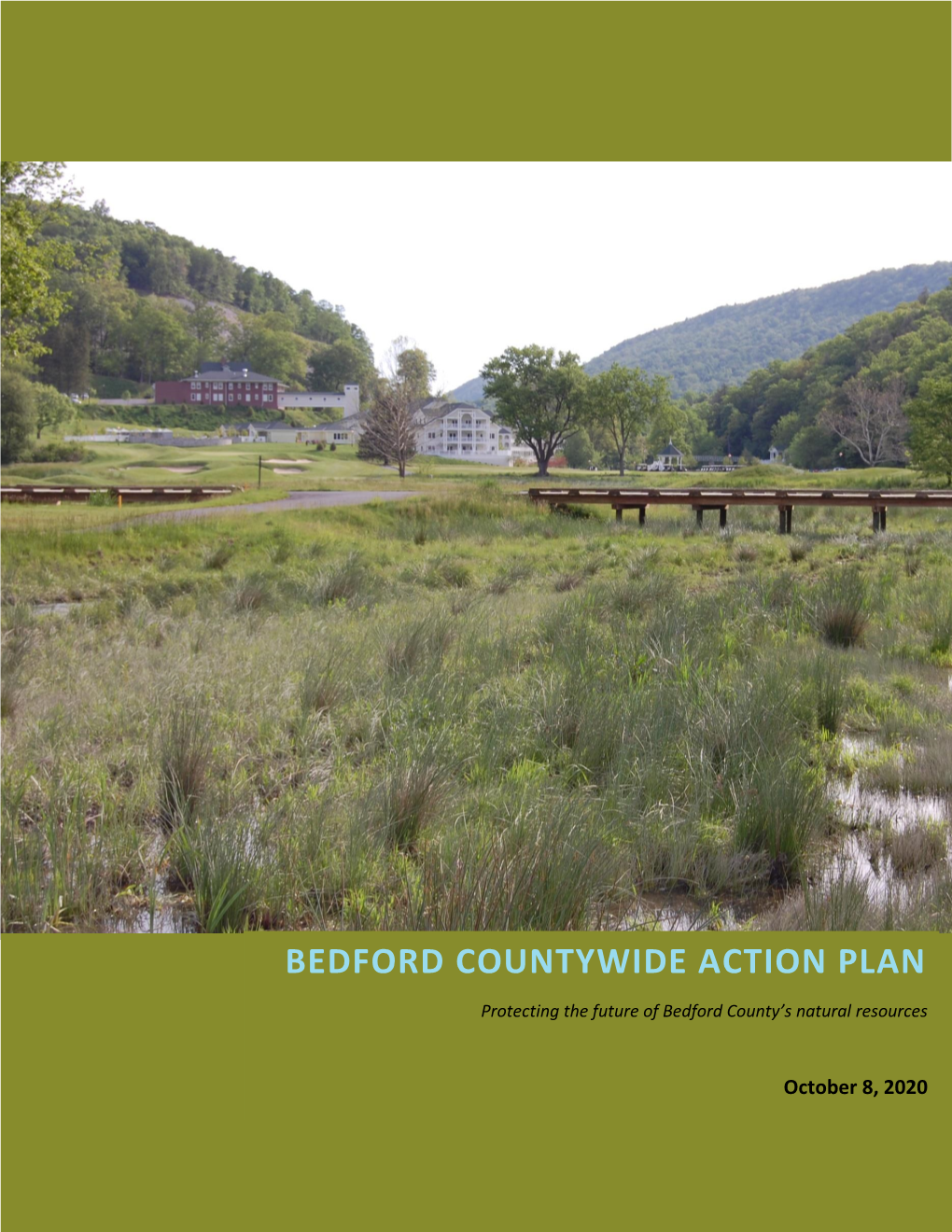 Bedford Countywide Action Plan