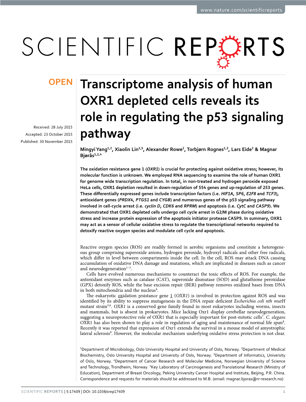 Transcriptome Analysis of Human OXR1 Depleted Cells Reveals Its Role