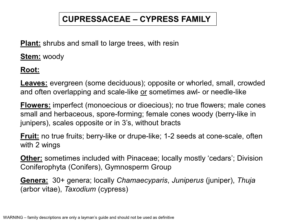 Cupressaceae – Cypress Family