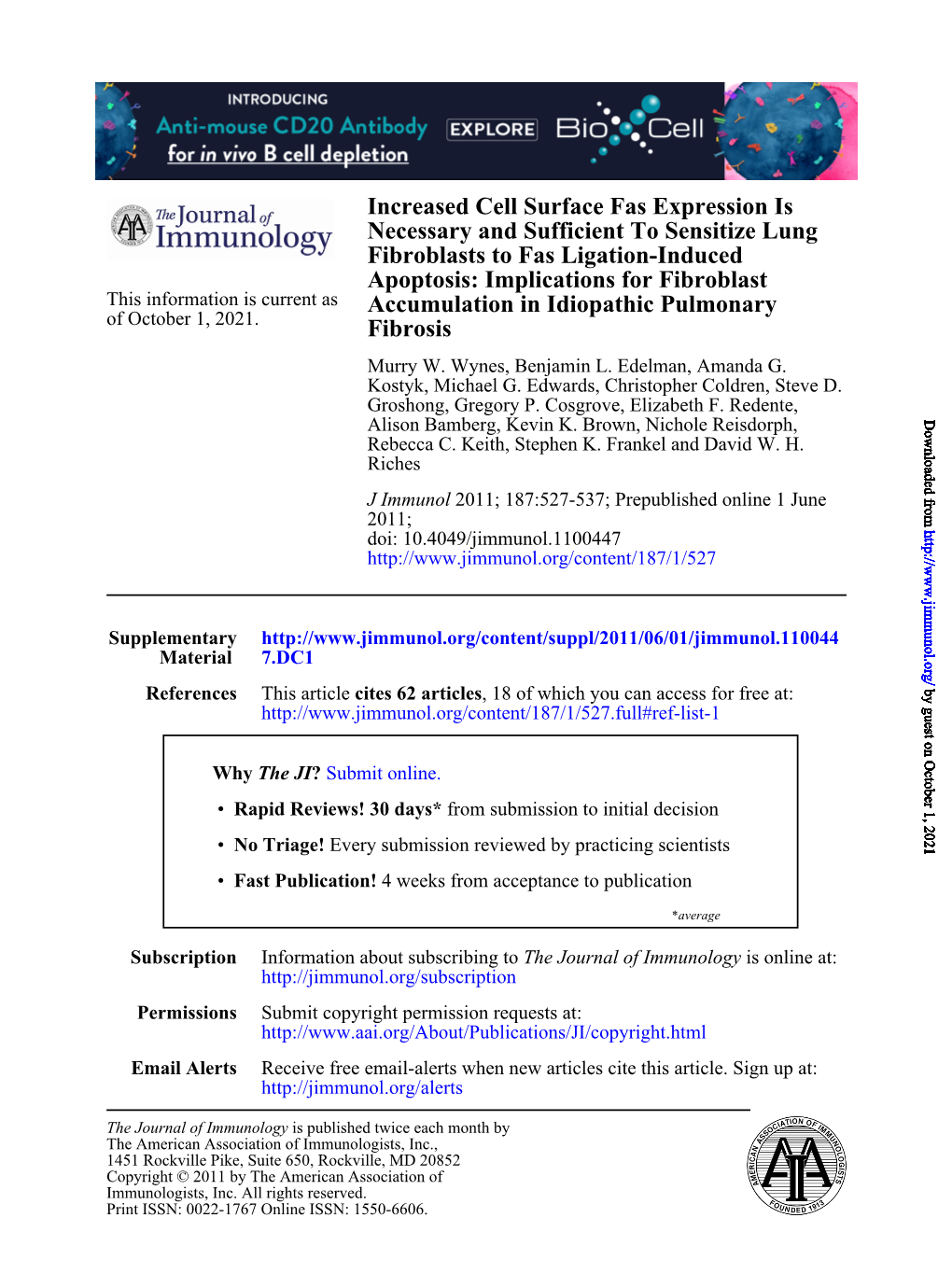 Fibrosis Accumulation in Idiopathic Pulmonary Apoptosis