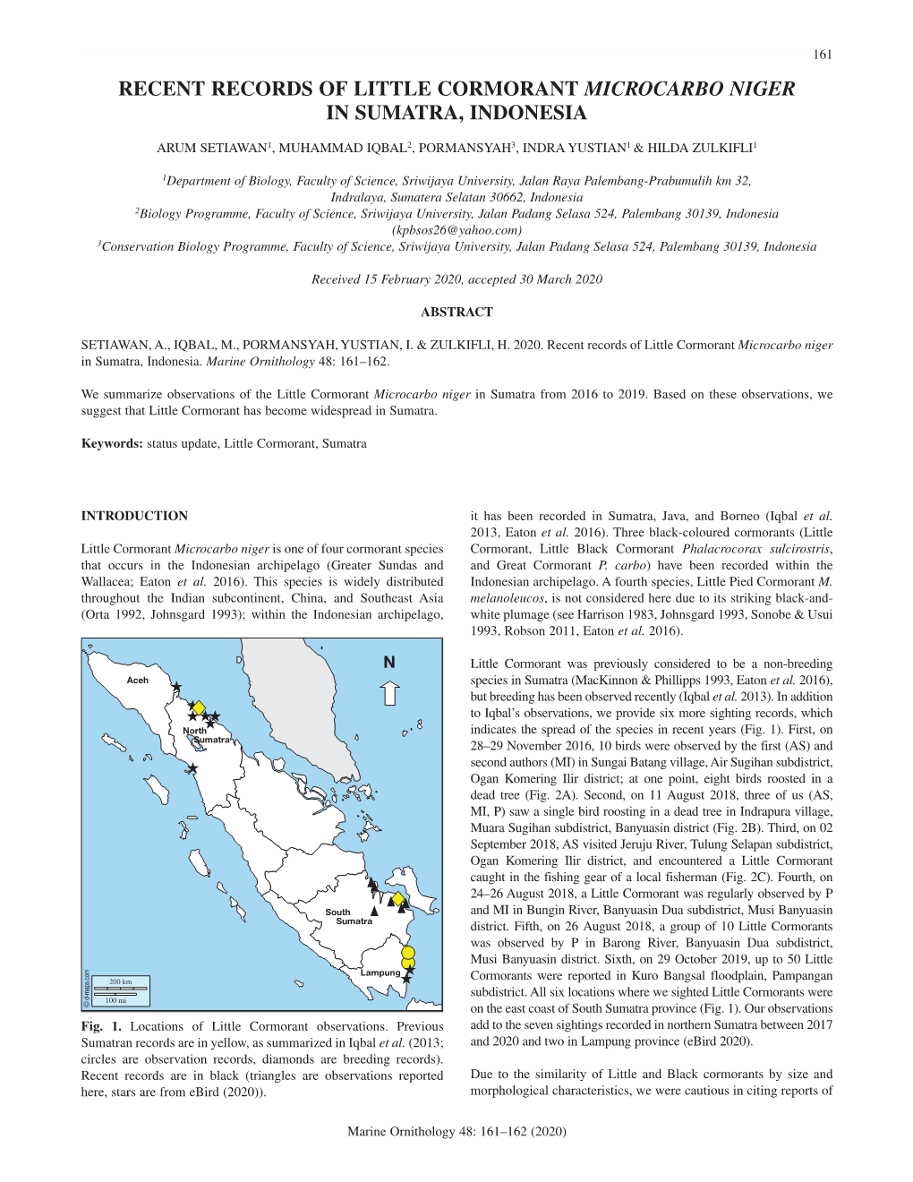 Recent Records of Little Cormorant Microcarbo Niger in Sumatra, Indonesia