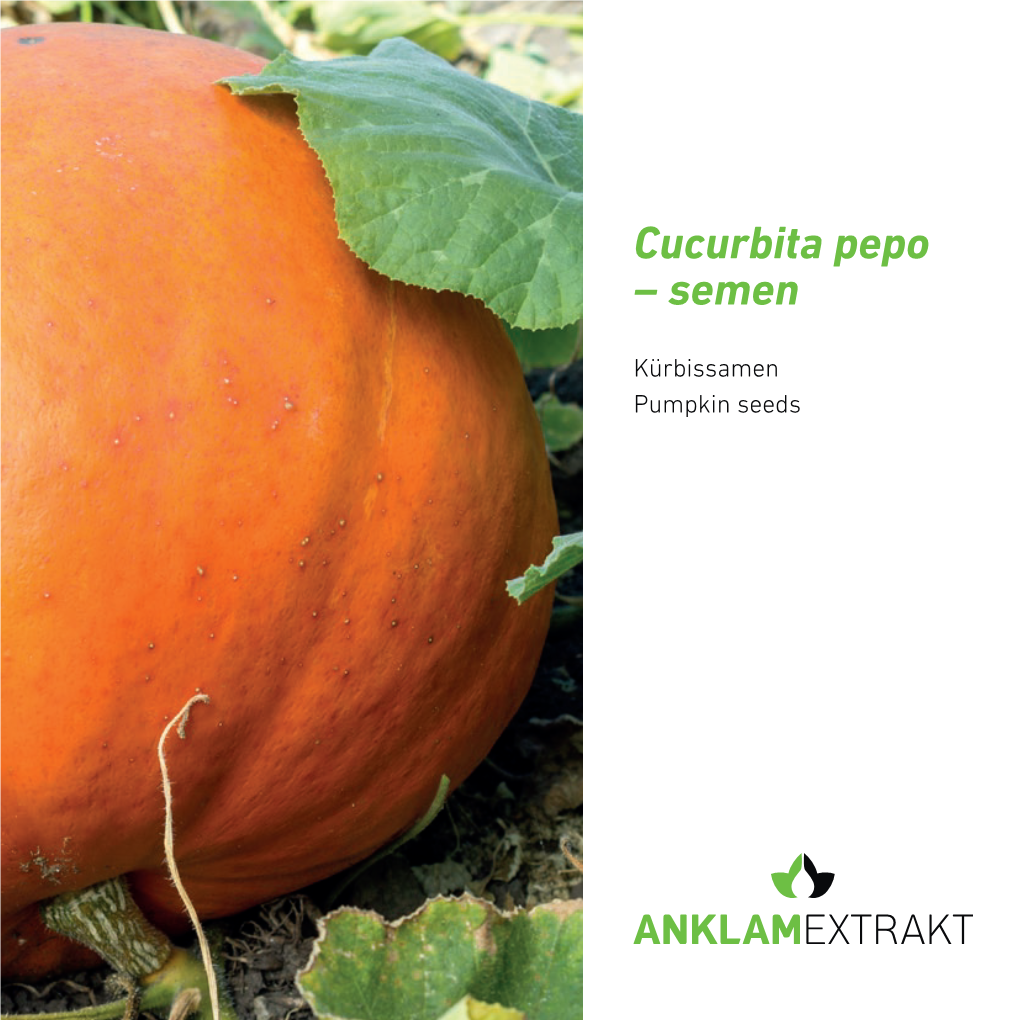 Cucurbita Pepo – Semen