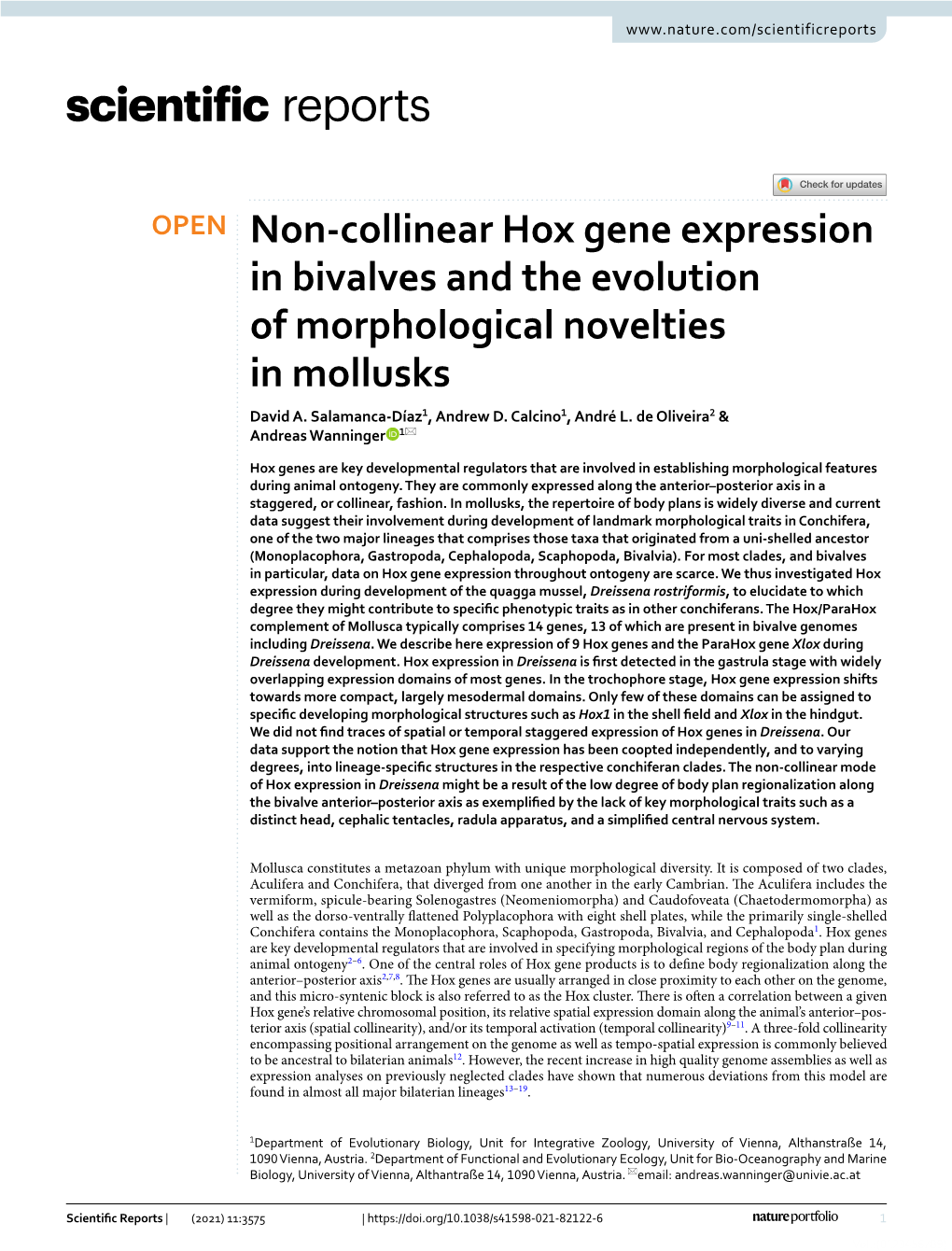 Non-Collinear Hox Gene Expression in Bivalves and the Evolution