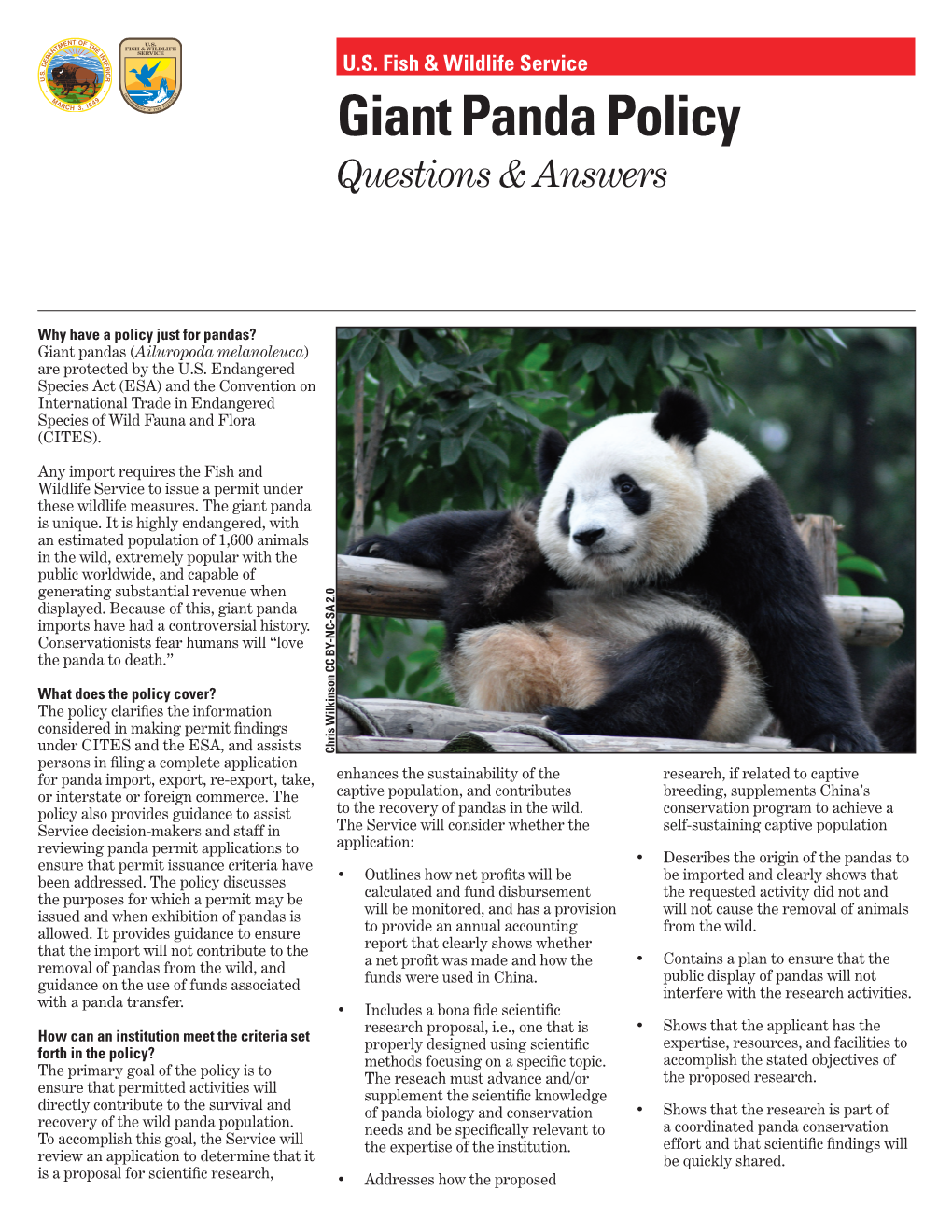 Giant Panda Policy Questions & Answers