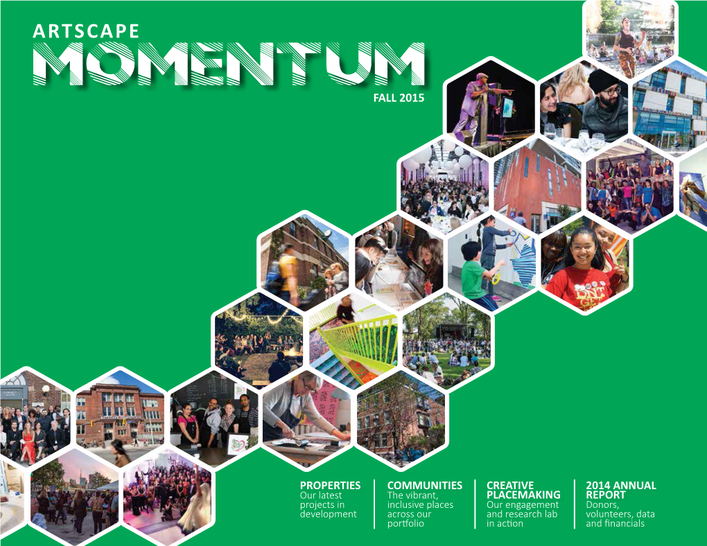 Artscape-Momentum-2015.Pdf