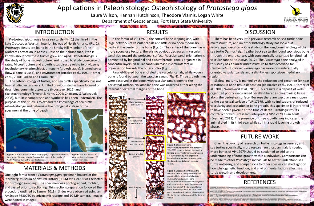 Applications in Paleohistology: Osteohistology of Protostega Gigas