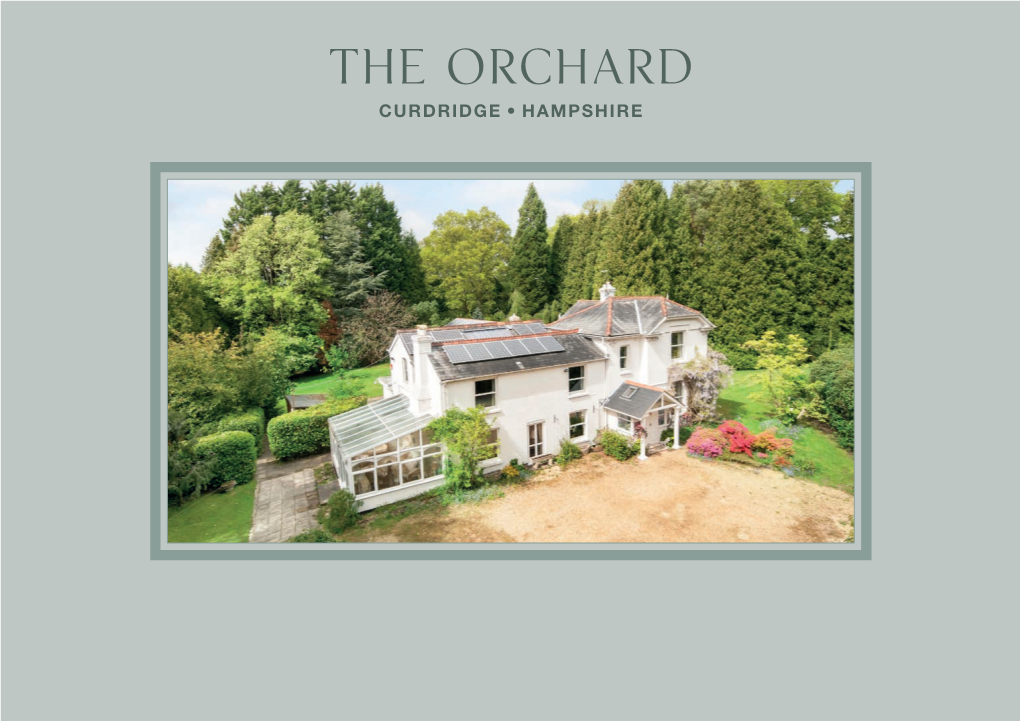 THE ORCHARD.Indd