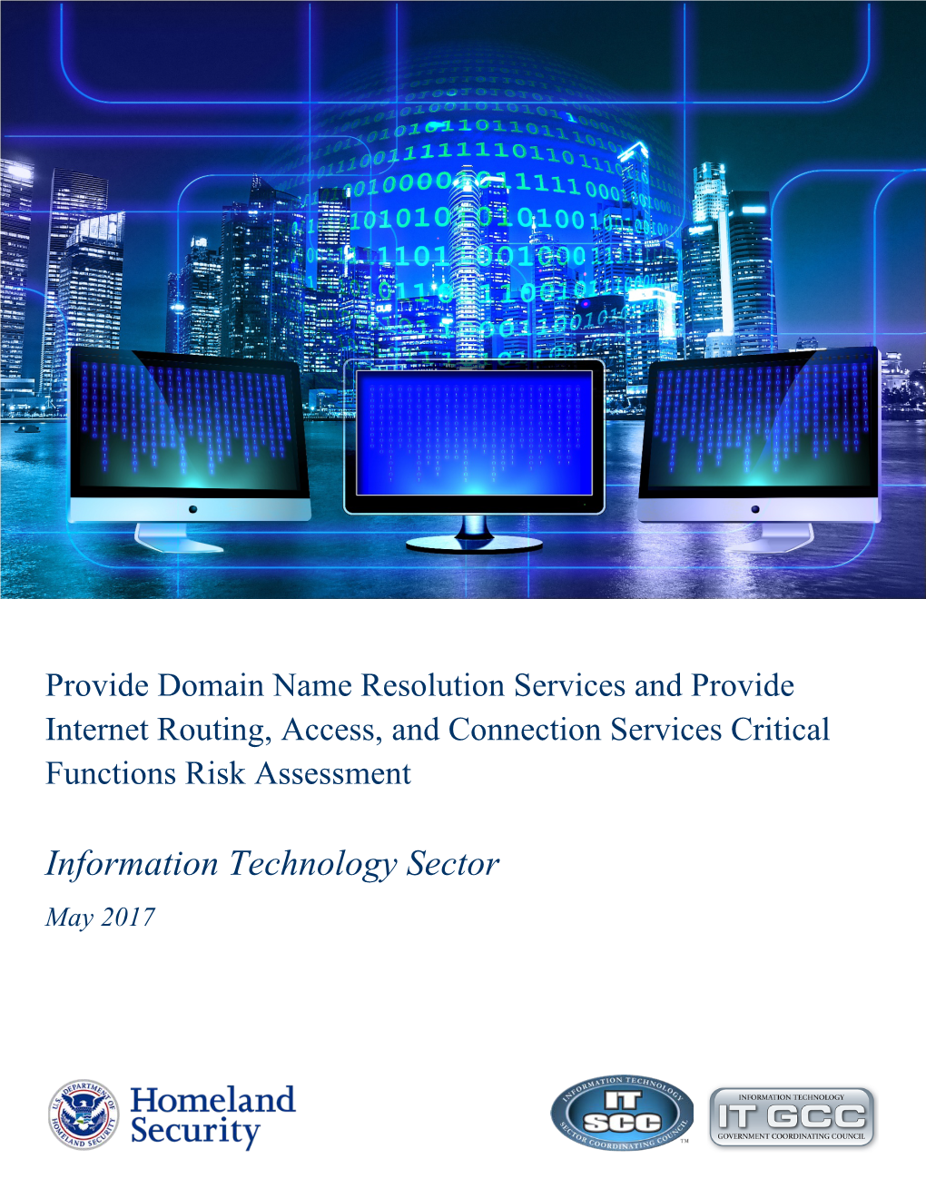 (DNS) Risk Assessment