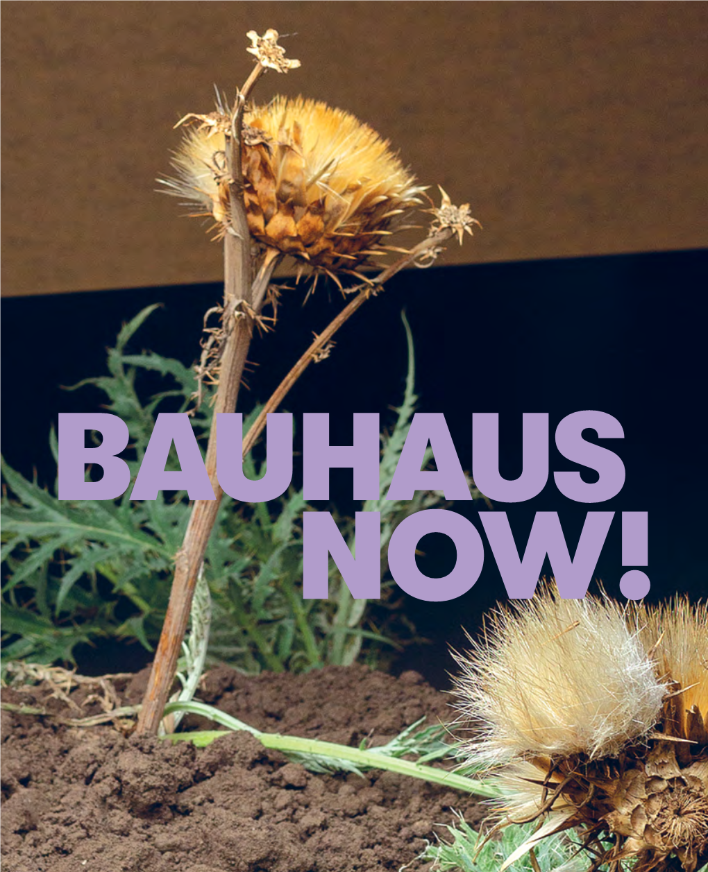 Bauhaus-Now.Pdf