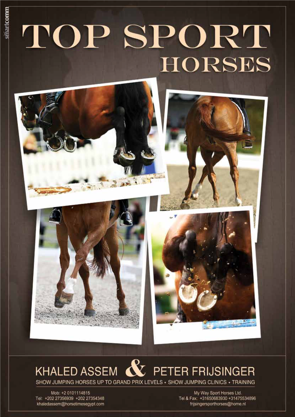 Horse Times 35.Pdf