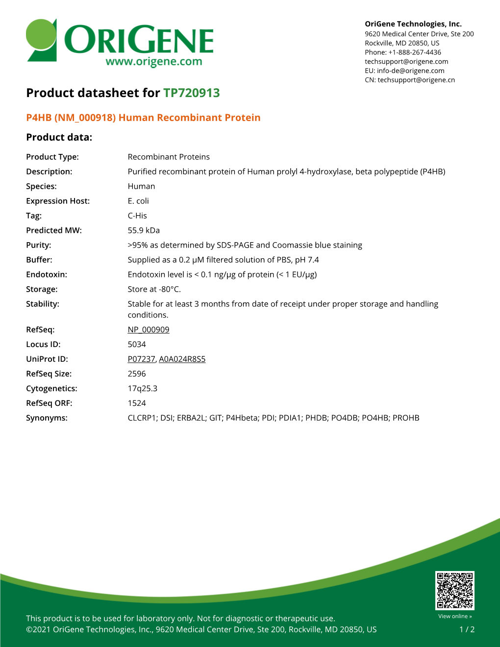 P4HB (NM 000918) Human Recombinant Protein – TP720913 | Origene