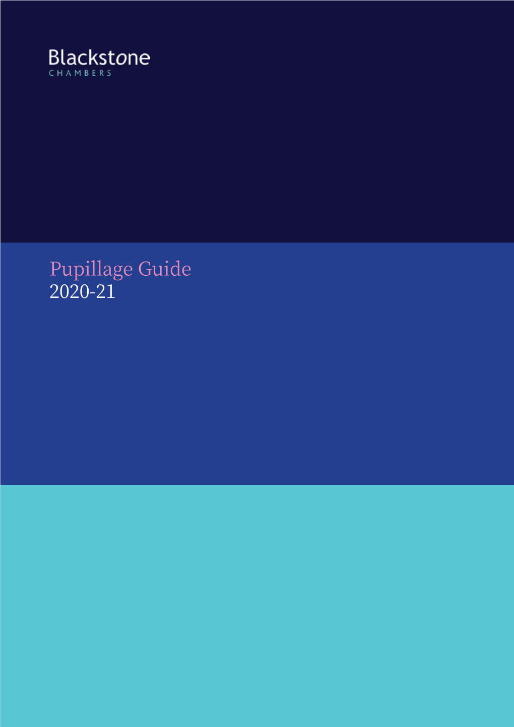 Pupillage Guide 2020-21