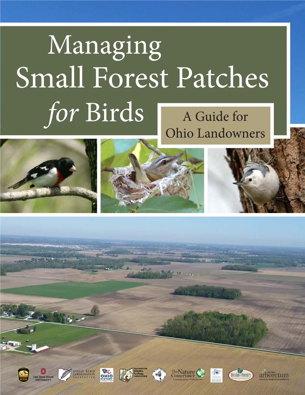 Small Forest Patches for Birds a Guide for Ohio Landowners About This Guide