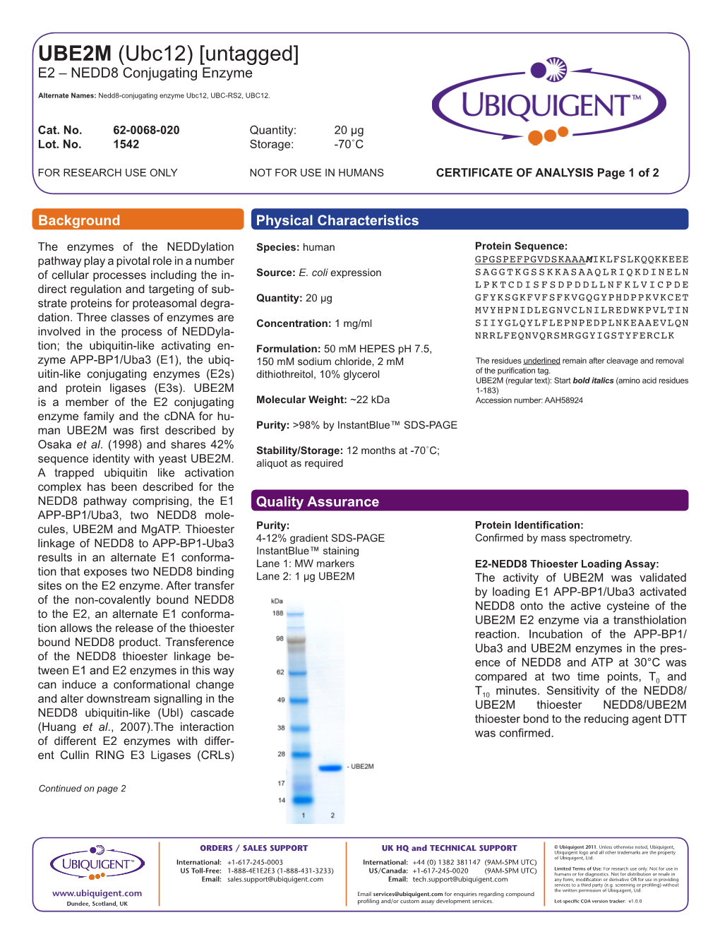 UBE2M (Ubc12) [Untagged] E2 – NEDD8 Conjugating Enzyme