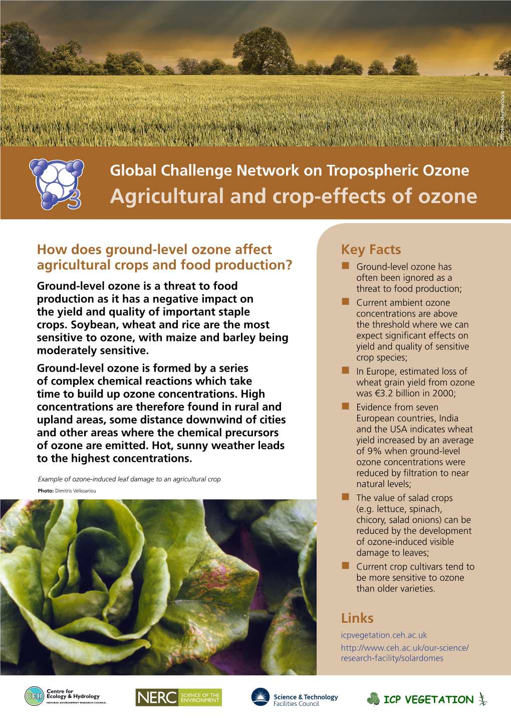 Agricultural and Crop-Effects of Ozone